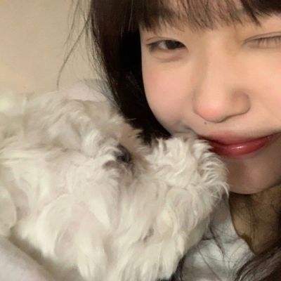 后宫甄嬛传九游版下载